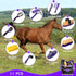 11 Horse Grooming Kit - Piece Bathing Supplies with Organize Bag, Full Body Kit Including Sweat Scraper, Bath Sponge