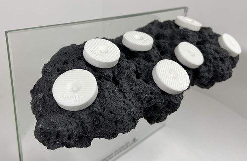 Magnetic Reef Coral Frag Rack with Strong N52 Magnets for 1/2" Glass (Black)