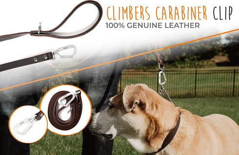 Mighty Paw Leather Dog Leash for Large Breeds, 6 Ft with Soft Padded Handle and Extra D-Ring for Waste Bags