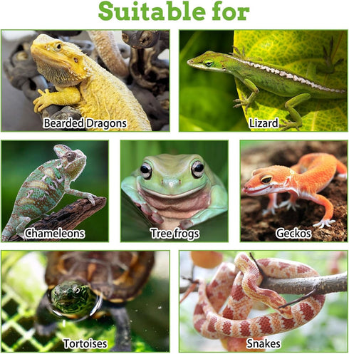 kathson Bearded Dragon Hammock with Suction Cups, 2 PCS Reptile Terrarium Leaves, Habitat Decor for Lizards, Snakes,