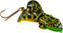 Rebel Lures Buzz'N Frog Topwater Fishing Lure, 2 1/2 Inch, 1/2 Ounce