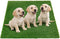 Fake Grass Pee for Dog Large Artificial Grass Rug Pad for Puppy