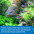 API FIN & BODY CURE Freshwater Fish Powder Medication, 10-Count Box
