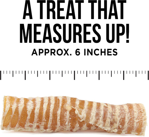 Natural Rapport Beef Trachea Dog Treats - All Natural Chews for Small and Large Dogs, 3 Chews