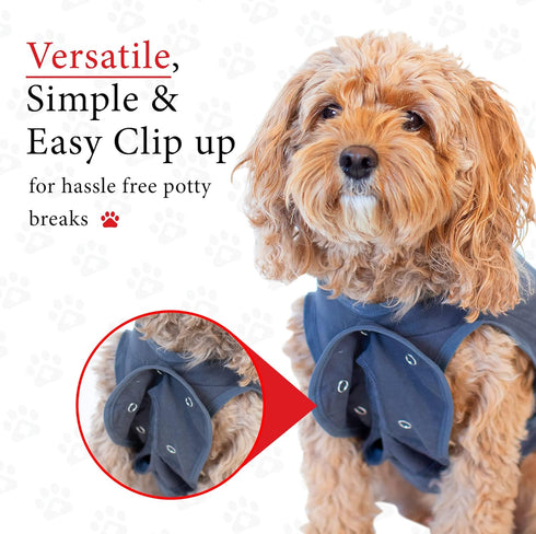 BellyGuard Recovery Suit for Dogs, Comfy Post-Op Care Onesie for Female Spay and Male Neuter Surgery
