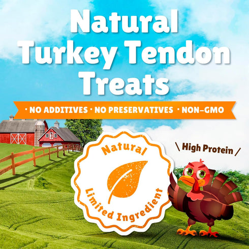 Gootoe Turkey Tendon Dog Treats, 100% USA-Sourced Natural Snack, Premium Training Chews for Small Dogs, 6 Unit/Pack