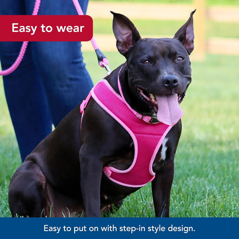Coastal Pet Comfort Soft Wrap Adjustable Dog Harness, Orchid, 3/8" x 14"-16", Easy Step-in Design