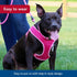 Coastal Pet Comfort Soft Wrap Adjustable Dog Harness, Orchid, 3/8" x 14"-16", Easy Step-in Design