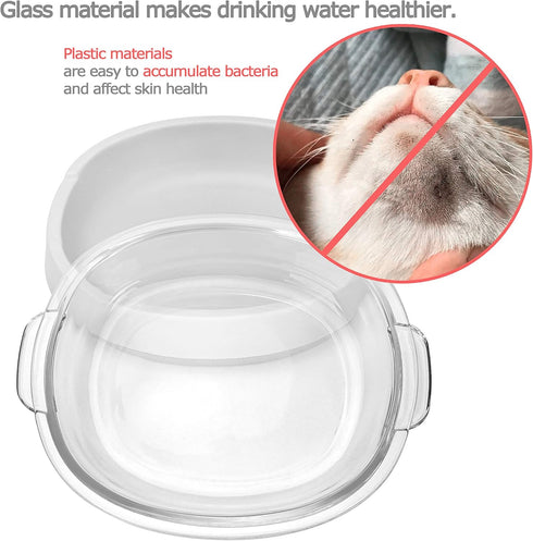 Small Glass Cat Food Bowls, Shallow Water Bowl for Cats, Kitties, and Small Dogs, Transparent Pet Feeding Bowl,