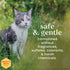 10 Oz Burts Bees for Pets Hypoallergenic Cat Shampoo with Shea Butter and Honey, Gentle Kitten Shampoo for Indoor Cats