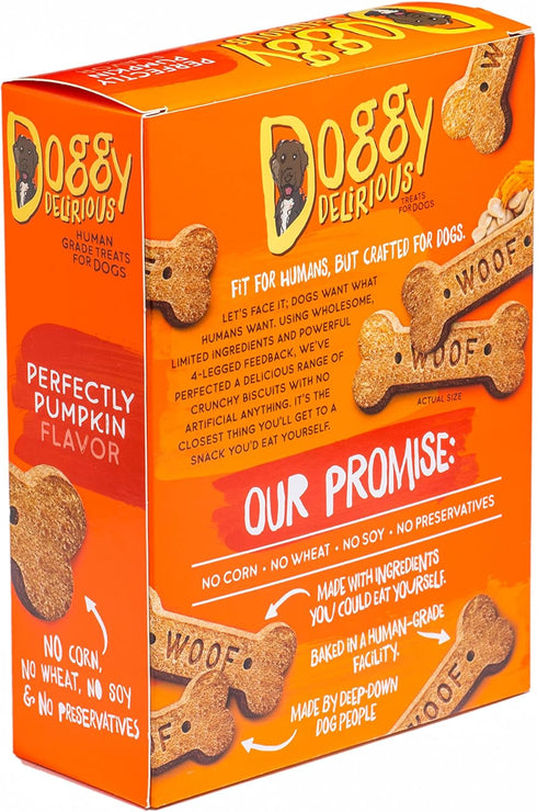 Crunchy Dog Treats – for All Pet Sizes, Breeds – All-Natural Puppy Treat – 100% Human-Grade – Delicious Pet Treat Bones, Snacks for Dogs – Pumpkin, 16 Oz.