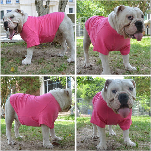 Lovelonglong Dog Costumes Basic Blank T-Shirt Tee Shirts for Medium Dogs, Rosered XXL