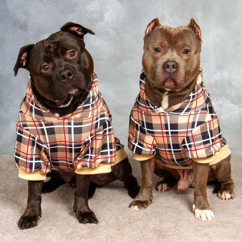 EXPAWLORER Plaid Dog Hoodie - British Style Warm Sweater Shirt with Leash Hole for All Breeds