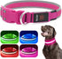 LED Dog Collar, USB Rechargeable Light Up Safety Collar, Adjustable Comfortable Soft Mesh for Small Medium Large Dogs