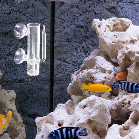 1set Mikikit Glass Shrimp Incubator Box Neocaridina Shrimp Brooder for Dream Live