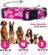 Native Pup Flower Dog Collar, Adjustable Small, Cute Pink Floral Blue Daisy Rose, Summer Spring Essentials