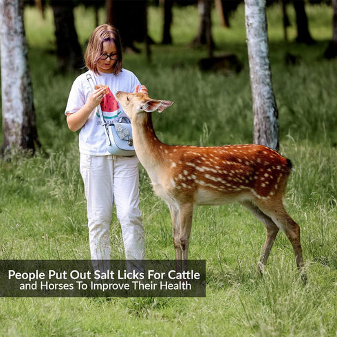 10 2 Counts Licking Salt for Deer Block - Animal Licking Mineral Salt Block, Natural Feed Salt Rock for Horse, Deer