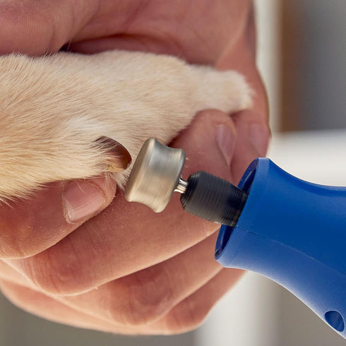 416HP Dremel Diamond-Coated Rotary Nail Grinder Bit - Ideal for Dog Nail Grooming, Gentle with Precise Control