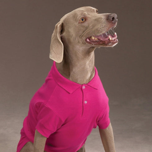 Zack & Zoey Cotton Polo Shirt for Dogs, Raspberry Sorbet, 8" X-Small