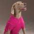 Zack & Zoey Cotton Polo Shirt for Dogs, Raspberry Sorbet, 8" X-Small