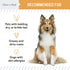 Salmon Oil for Dogs - 60 Soft Chew Omega Treats for Skin and Coat, Fish Oil Blend of Essential Fatty Acids, Made in USA