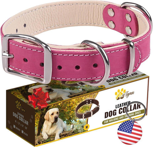 ADITYNA Heavy-Duty Pink Leather Dog Collar for Medium Dogs, Soft Lined Girl Collar for Walking, Training, Hiking