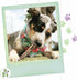 Nature Gnaws Bully Sticks for Dogs, 5-6" (1Lb) - Mixed Thickness, Long Lasting Natural Beef Chew Bones for Aggressive
