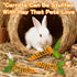 Hollima 5 Chinchilla Pcs Rabbit Forage Toys, Toys Enrichment for Boredom, Feed Game Slow Feeder, Snuffle Ball Treat