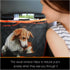 Hammock 4-Layer iBuddy Luxury Dog Car Seat Cover for Back Seat Breathable Mesh Window Dog for Car Heavy Duty Waterproof