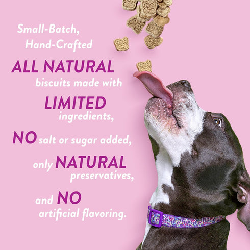 Spunky pup Every Day Biscuit Dog Treats - All-Natural, Handmade in USA, Perfect for Training or Snacking, 24 oz Resealable Pouch- Prime Rib Flavor