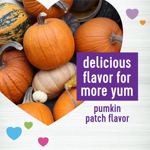 45 Count Wellness Pumpkin Patch Flavored Soft Chew Digestive Health Supplements for Dogs