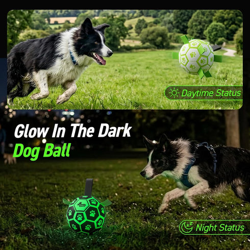 (8 Inch) QDAN Glow in The Dark Dog Toys Soccer Ball with Straps - Light Up Dog Balls for Large Dogs, Interactive Dog