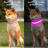 Light Up Dog Collars, Rechargeable Waterproof Glow Collar for Pet Safety, Fully Adjustable for Small Medium Large Dogs