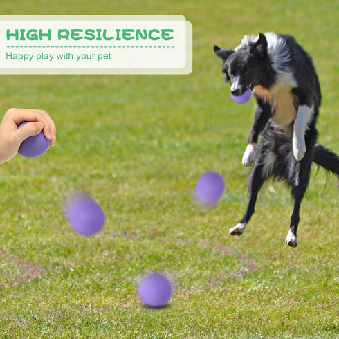 15 Pack 2.4 Inch Hiboom Natural Rubber Tennis Balls for Dogs Catching Pet Dog Balls for Fetch Training Interactive High