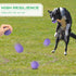 15 Pack 2.4 Inch Hiboom Natural Rubber Tennis Balls for Dogs Catching Pet Dog Balls for Fetch Training Interactive High