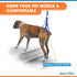 Up-n-Go Rear Support Lifting Harness for Dogs, Helps with Arthritis, Weakness, Joint Injuries Rehab