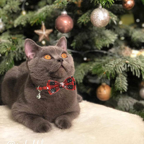 Pohshido 2 Pack Christmas Cat Collar with Movable Bowtie, Breakaway Buckle Safety Kitty Kitten Collar, Adjustable Pet