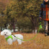 Joytale 6/5/4 FT Leashes for Small Medium Breed Dogs, Heavy Duty Nylon Braided Rope Dog Leash, Comfortable Padded Handle Strong Leashes with Poop Bags and Dispenser, Green, 6'×3/8''