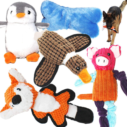 Jalousie Multipack Dog Squeaky Toys, Strong Almost Indestructible Chew Toys (5 Pack Tough)