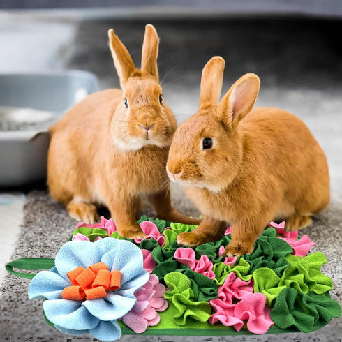 Small Animals Foraging Mat Cute Rabbit Feeding Mat with Fun Design, Slow Eat Durable Fleece Pad for Rabbits, Hamsters