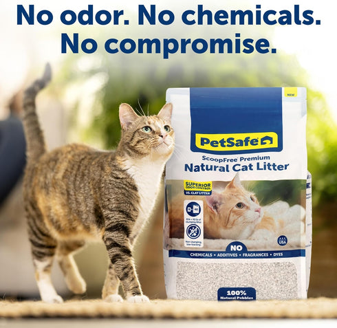 PetSafe ScoopFree Premium Natural Cat Litter, 100% Natural, 30+ Day Odor Control, 8 lb Bag
