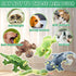 5 Pack LECHONG Stuffed Animal Dog Toys, Tough Squeaky Dog Toys, Plush Toys Assortment, Great Value Pet Toys Bundle