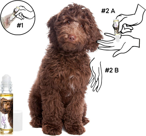 The Blissful Dog Labradoodle Relax Aromatherapy Spray for Your Dog's Anxiety