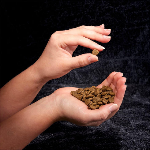 CRAVE Grain Free Adult High Protein Natural Dry Cat Food with Salmon & Ocean Fish, 10 lb Bag