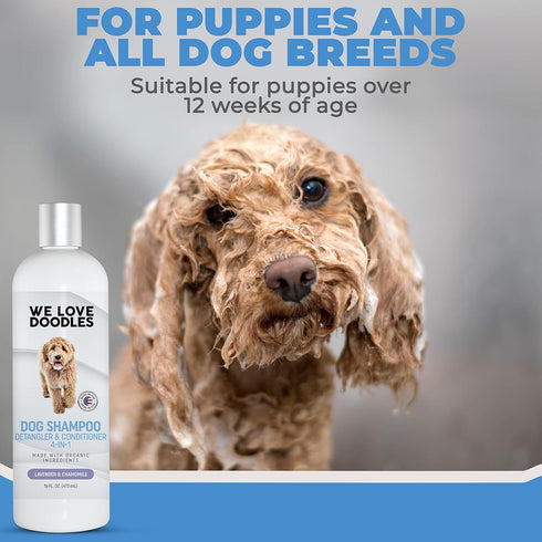 USDA Organic Dog Shampoo, Conditioner & Detangler, Best for Goldendoodles, Poodles, Sensitive Skin, 16OZ Lavender