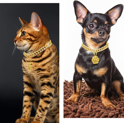 Hillban Cat Collar with Diamond Chain, Glitter Walking Metal Necklace with Secure Buckle for Small Cats (Gold, 10 Inch)
