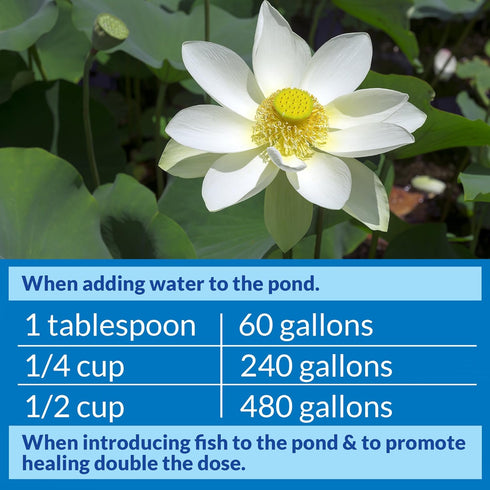 API POND STRESS COAT Pond Water Conditioner, 64 Fl Oz Bottle