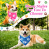 100 Set (31.5 21.7 21.7 Inch) Abbylike Pcs Paw Print Dog Bandanas Bulk Soft Triangle Kerchief Bibs Scarf for Pets Dogs