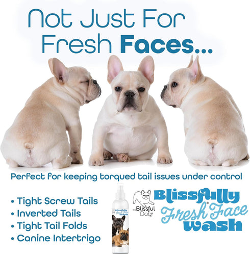 The Blissful Dog Blissfully Fresh Face Wash - Cleans Facial Folds and Wrinkles, 4-Ounce for French Bulldog