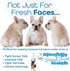 The Blissful Dog Blissfully Fresh Face Wash - Cleans Facial Folds and Wrinkles, 4-Ounce for French Bulldog